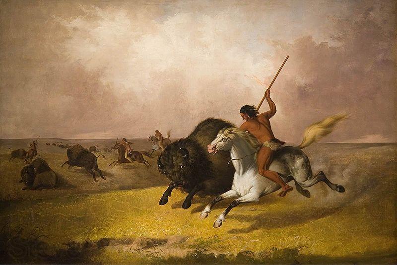 John Mix Stanley Buffalo Hunt on the Southwestern Prairies Norge oil painting art